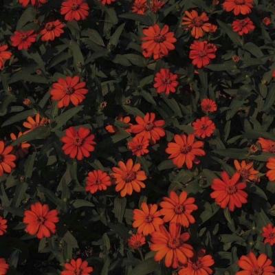 爱游戏全站APP入口苹果版app下载